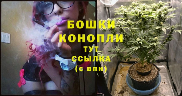 apvp Аркадак