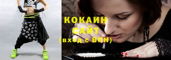 тгк Новодвинск