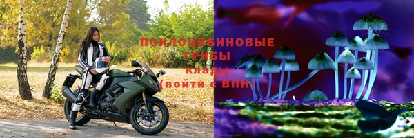 apvp Аркадак
