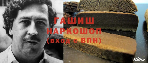 тгк Новодвинск