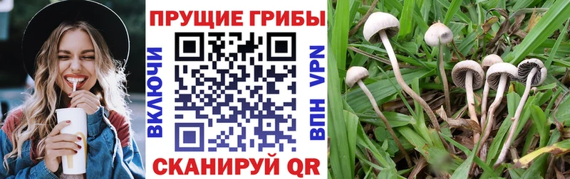 Псилоцибиновые грибы мухоморы  Севск 